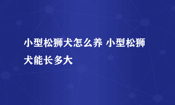 小型松狮犬怎么养 小型松狮犬能长多大