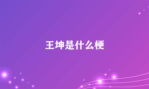 王坤是什么梗