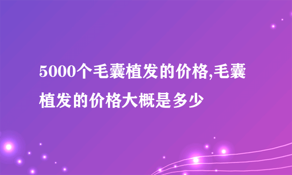 5000个毛囊植发的价格,毛囊植发的价格大概是多少