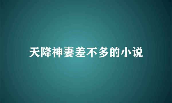 天降神妻差不多的小说