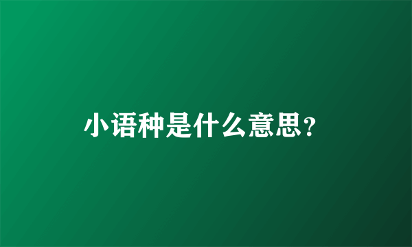 小语种是什么意思？