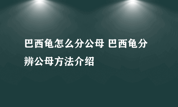 巴西龟怎么分公母 巴西龟分辨公母方法介绍