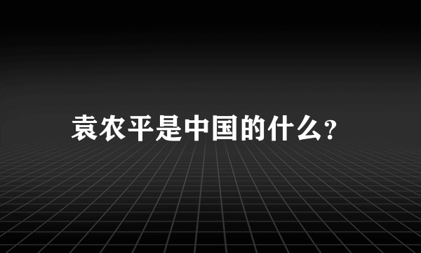 袁农平是中国的什么？