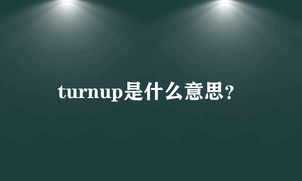 turnup是什么意思？