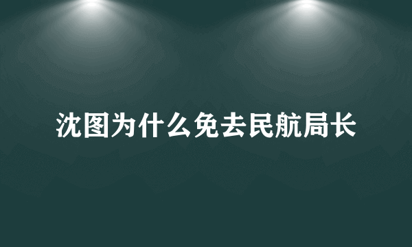 沈图为什么免去民航局长