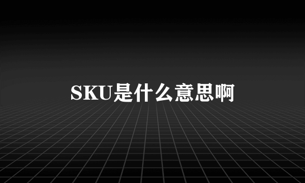 SKU是什么意思啊