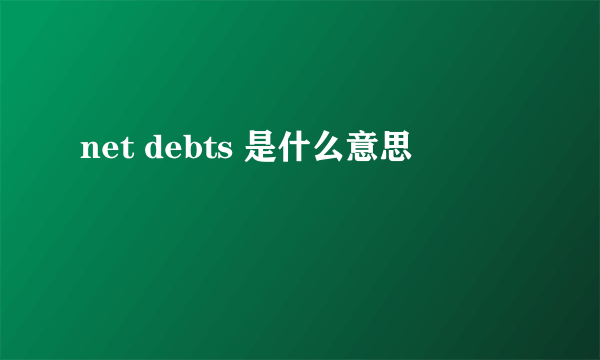 net debts 是什么意思