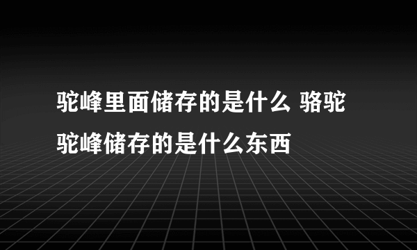 驼峰里面储存的是什么 骆驼驼峰储存的是什么东西