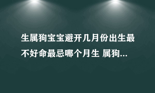 生属狗宝宝避开几月份出生最不好命最忌哪个月生 属狗的几月出生最不好犯月