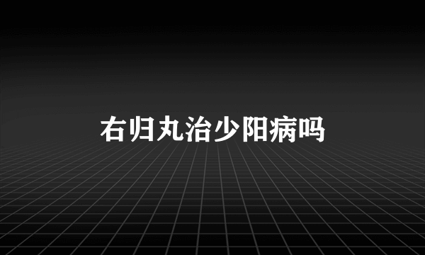 右归丸治少阳病吗