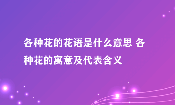 各种花的花语是什么意思 各种花的寓意及代表含义