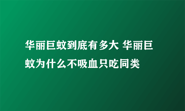 华丽巨蚊到底有多大 华丽巨蚊为什么不吸血只吃同类