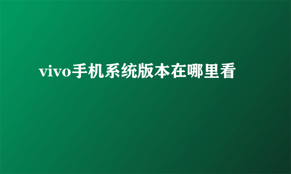 vivo手机系统版本在哪里看