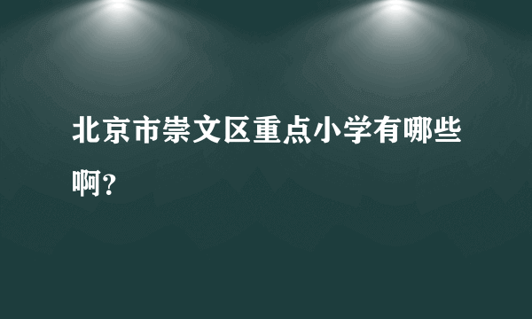 北京市崇文区重点小学有哪些啊？