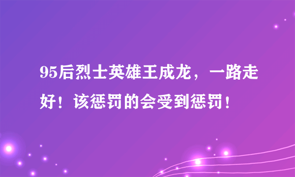 95后烈士英雄王成龙，一路走好！该惩罚的会受到惩罚！