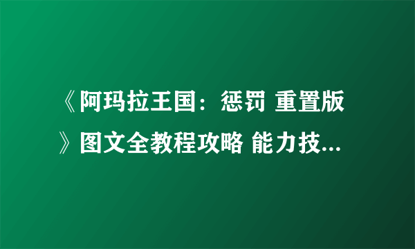 《阿玛拉王国：惩罚 重置版》图文全教程攻略 能力技能天命武器战斗详解