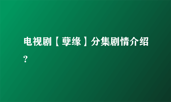 电视剧【孽缘】分集剧情介绍？