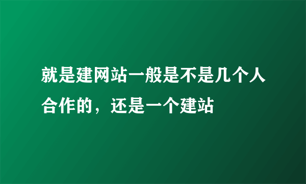 就是建网站一般是不是几个人合作的，还是一个建站