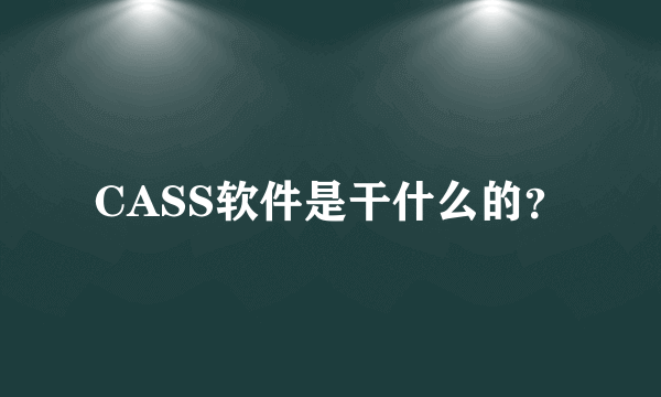 CASS软件是干什么的？