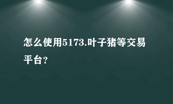 怎么使用5173.叶子猪等交易平台？