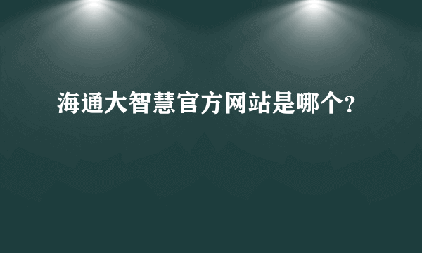 海通大智慧官方网站是哪个？