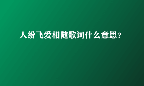 人纷飞爱相随歌词什么意思？