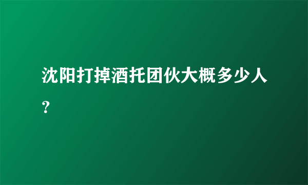 沈阳打掉酒托团伙大概多少人？