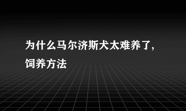 为什么马尔济斯犬太难养了,饲养方法