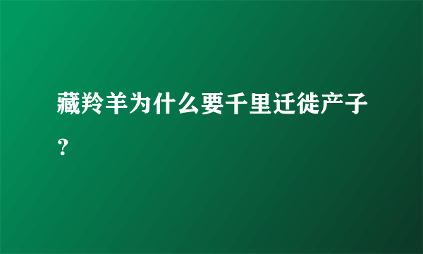 藏羚羊为什么要千里迁徙产子？