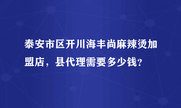 泰安市区开川海丰尚麻辣烫加盟店，县代理需要多少钱？