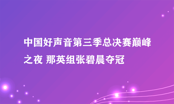 中国好声音第三季总决赛巅峰之夜 那英组张碧晨夺冠