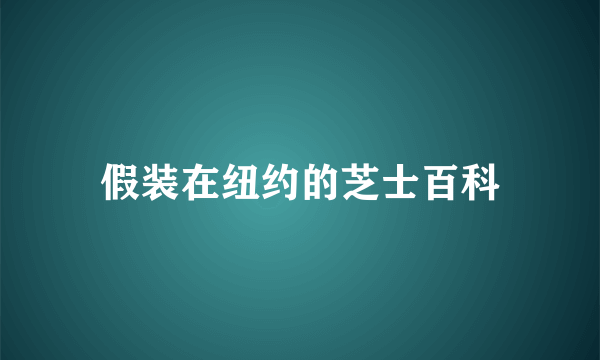 假装在纽约的芝士百科