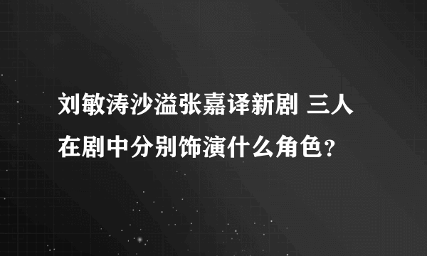 刘敏涛沙溢张嘉译新剧 三人在剧中分别饰演什么角色？