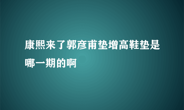 康熙来了郭彦甫垫增高鞋垫是哪一期的啊