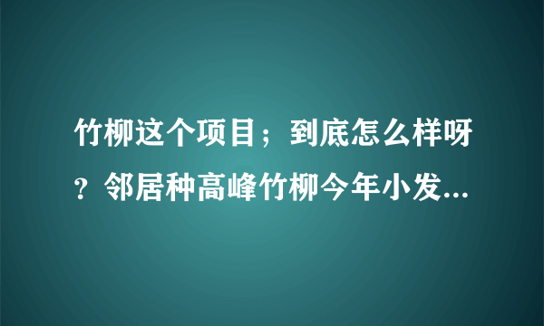 竹柳这个项目；到底怎么样呀？邻居种高峰竹柳今年小发一笔；他让我引种；我有点小犹豫！