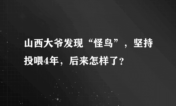 山西大爷发现“怪鸟”，坚持投喂4年，后来怎样了？