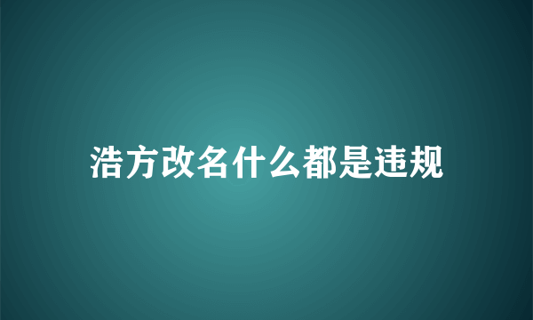 浩方改名什么都是违规