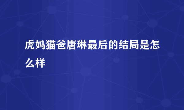 虎妈猫爸唐琳最后的结局是怎么样