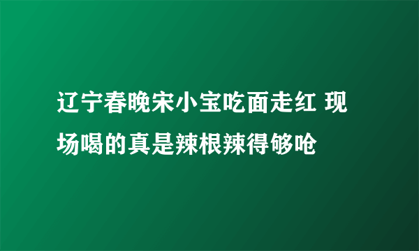 辽宁春晚宋小宝吃面走红 现场喝的真是辣根辣得够呛