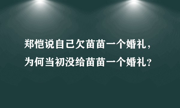 郑恺说自己欠苗苗一个婚礼，为何当初没给苗苗一个婚礼？