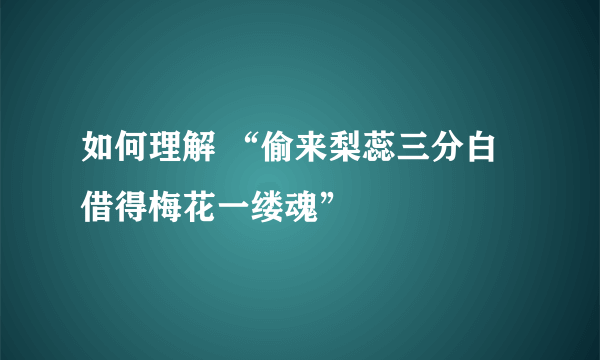 如何理解 “偷来梨蕊三分白 借得梅花一缕魂”