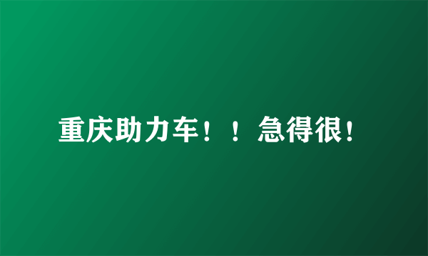 重庆助力车！！急得很！