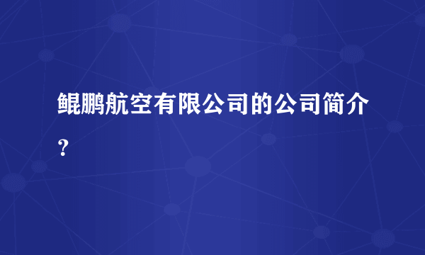 鲲鹏航空有限公司的公司简介？