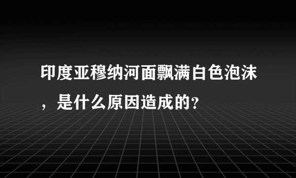 印度亚穆纳河面飘满白色泡沫，是什么原因造成的？