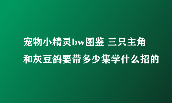 宠物小精灵bw图鉴 三只主角和灰豆鸽要带多少集学什么招的