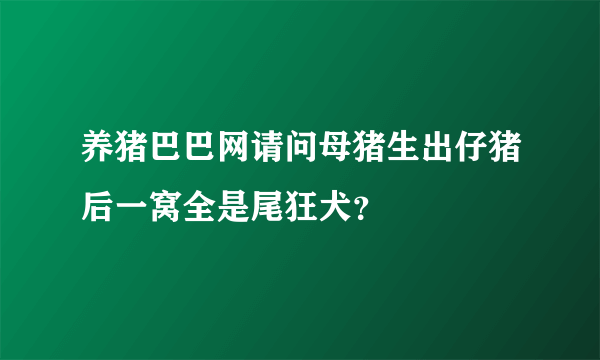 养猪巴巴网请问母猪生出仔猪后一窝全是尾狂犬？