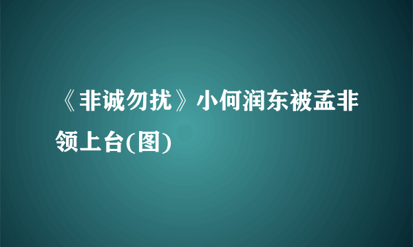 《非诚勿扰》小何润东被孟非领上台(图)