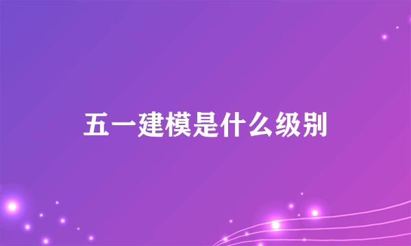 五一建模是什么级别