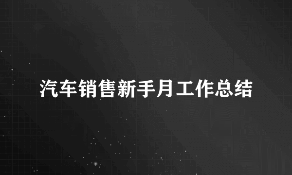 汽车销售新手月工作总结