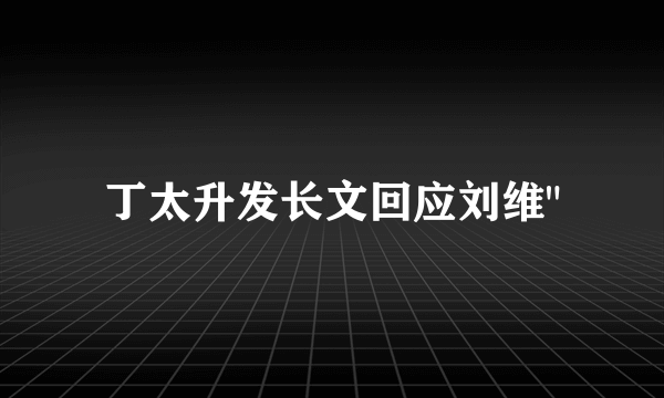 丁太升发长文回应刘维